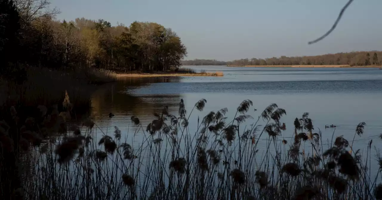 Texas takes legal action to save Fairfield Lake State Park