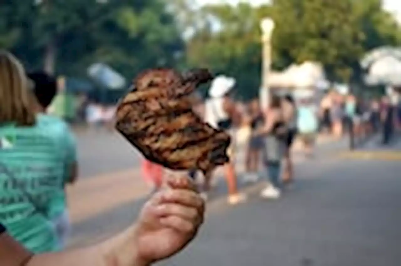 | Pickle pizza and cookie buckets: Minnesota State Fair food, ranked