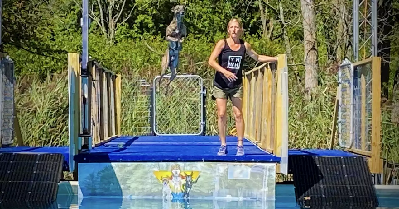 Dock Dogs competition in North Ridgeville this weekend