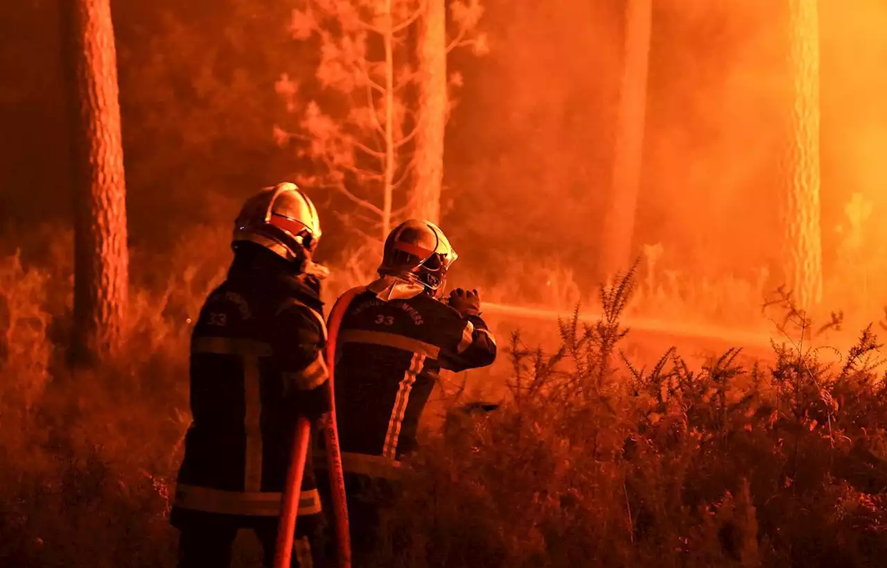 Un mineur reconnu coupable d’un incendie de 30 hectares de forêt