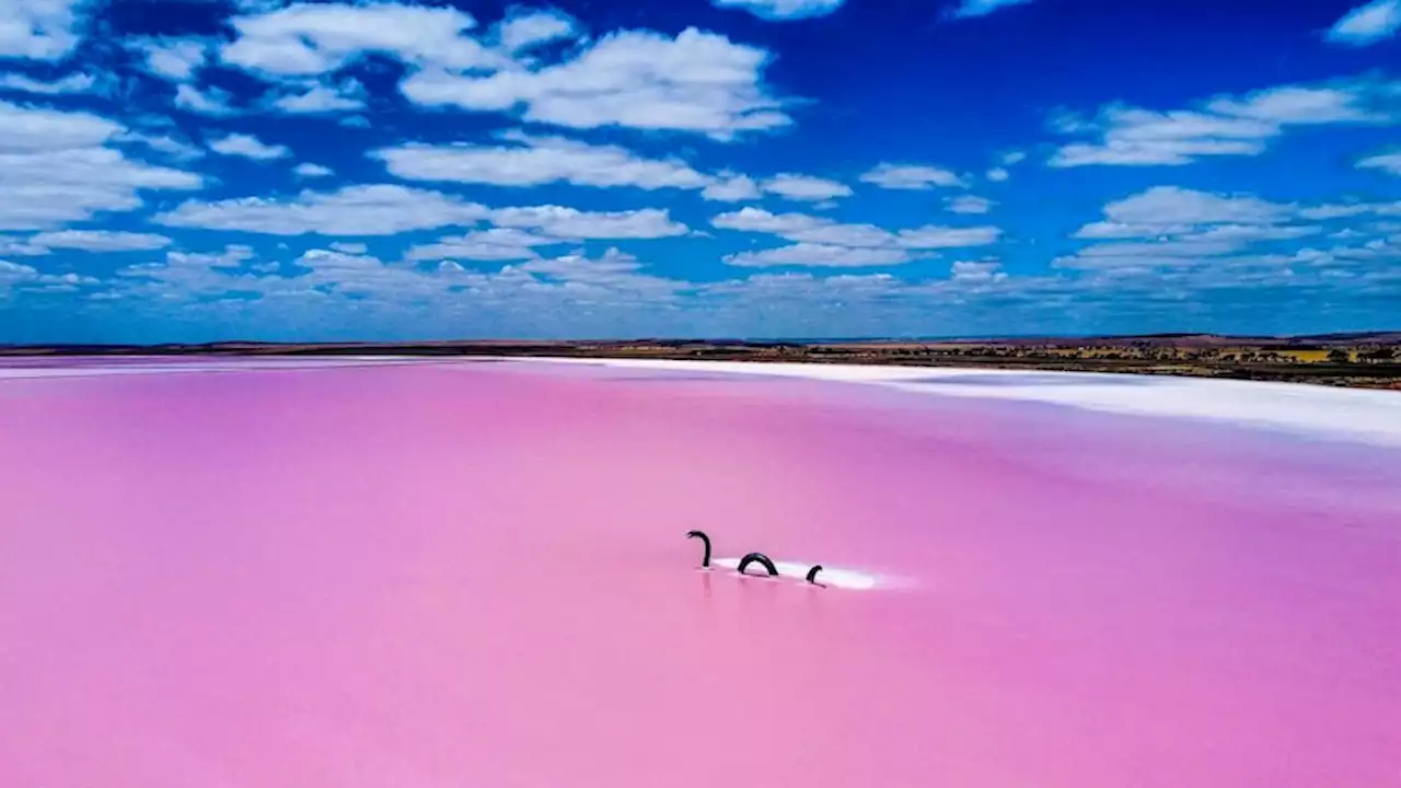 After the 'biggest drought' in living memory, this town is using its pink lake to put its community back together