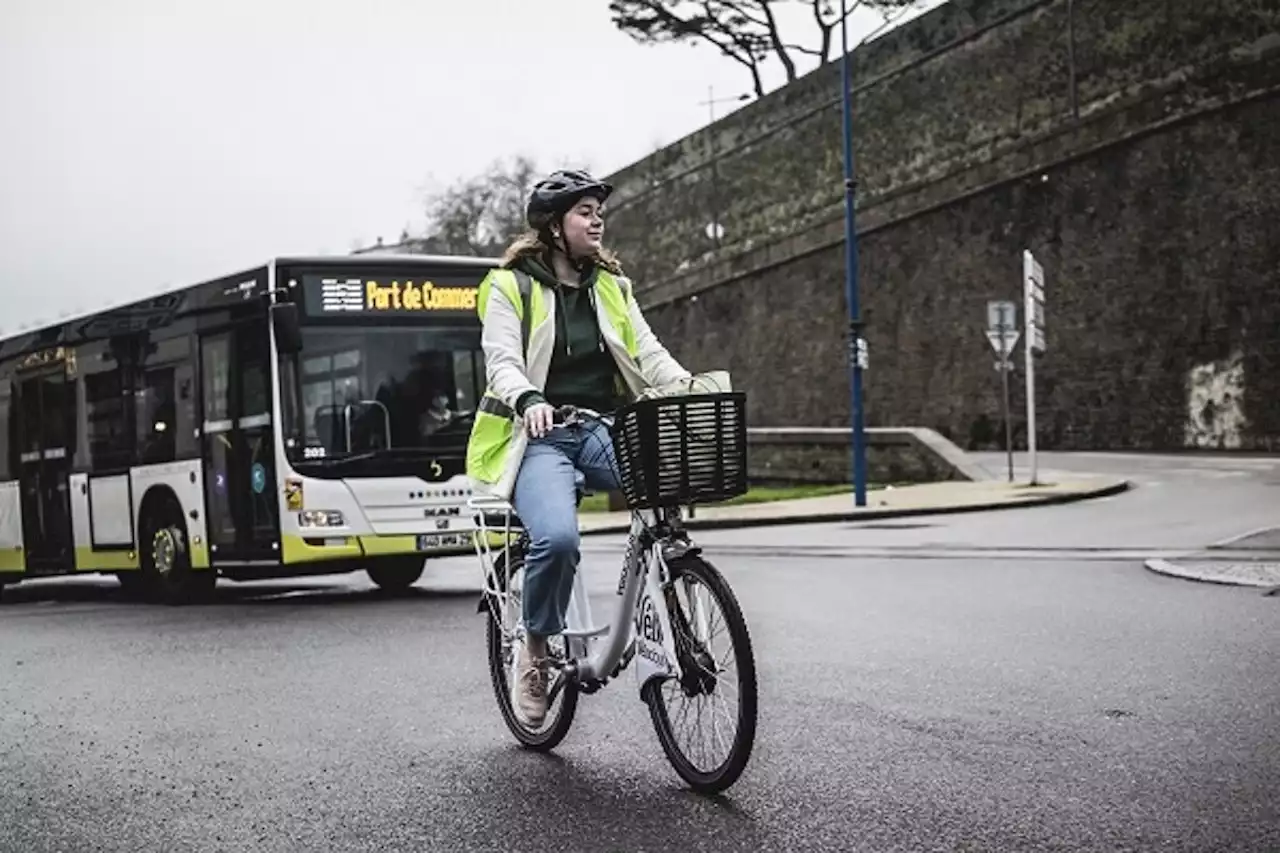 Transports à Brest : Bibus présente ses offres et fait gagner des abonnements