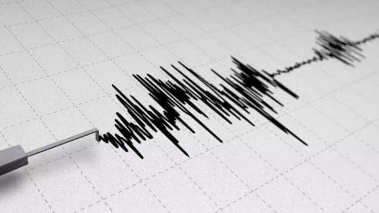 زلزال بقوة 6 درجات يضرب 'ساوث آيلاند' النيوزيلندية