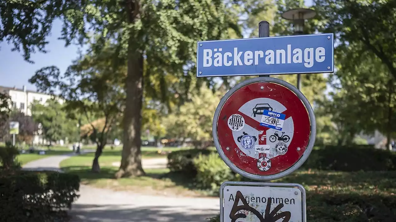 Zürcher Stadtparlament will keine Räumung im Park