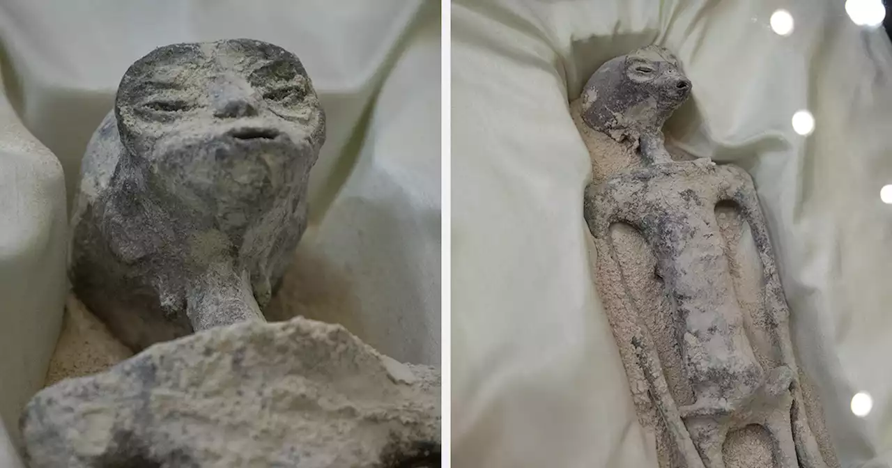 1,000-Year-Old Alien Fossils Found To Have “No Relation To Human Beings”, According To Experts