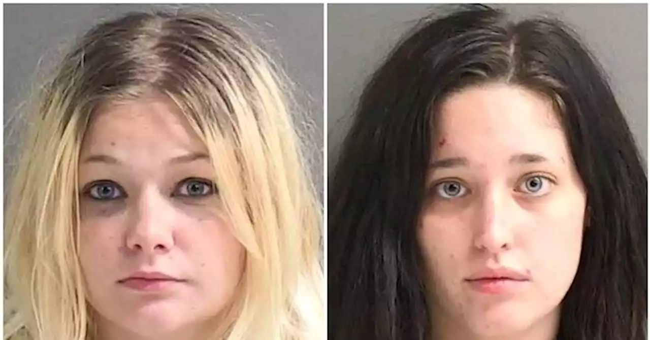 WATCH — Police: Drunk Underage Women Toss Baby 'Like a Toy'