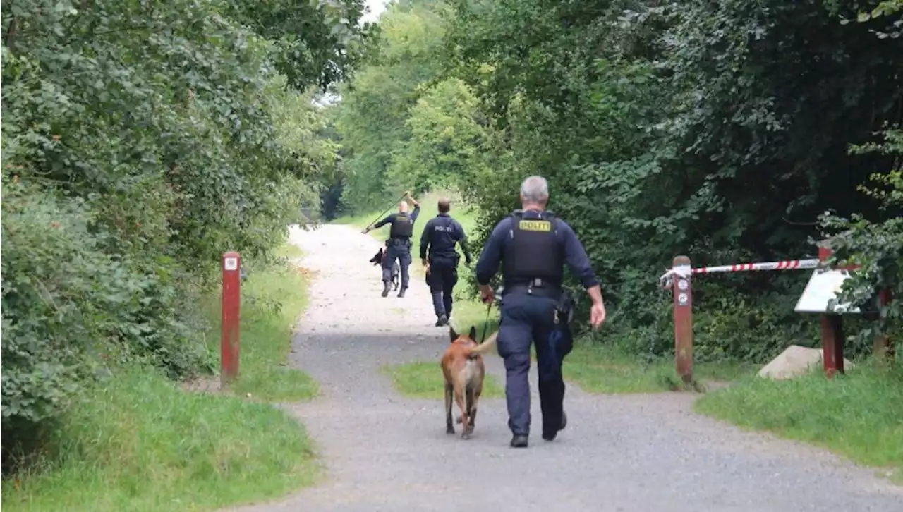 Efterlyser ældre mand: 'Han kan være et meget vigtigt vidne'