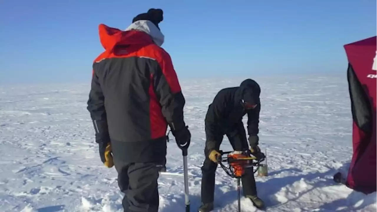 Algae have changed dramatically in Great Slave Lake — and what it means for fish is uncertain