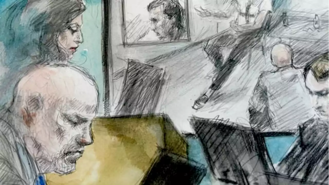 Detective testifies he had no concerns about 'mental status' of accused killer of London, Ont., Muslim family