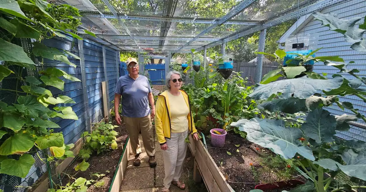 For Aurora couple, gardening a hobby that reaps many rewards