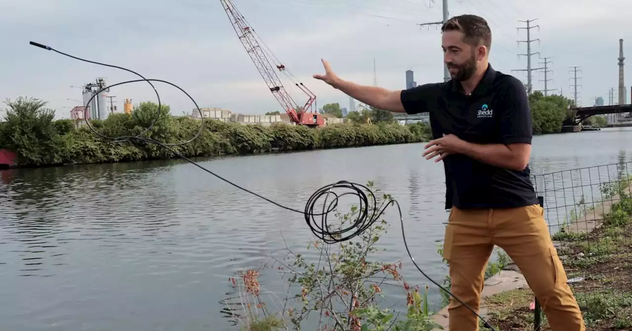 Researchers track where Chicago River fish are going and why