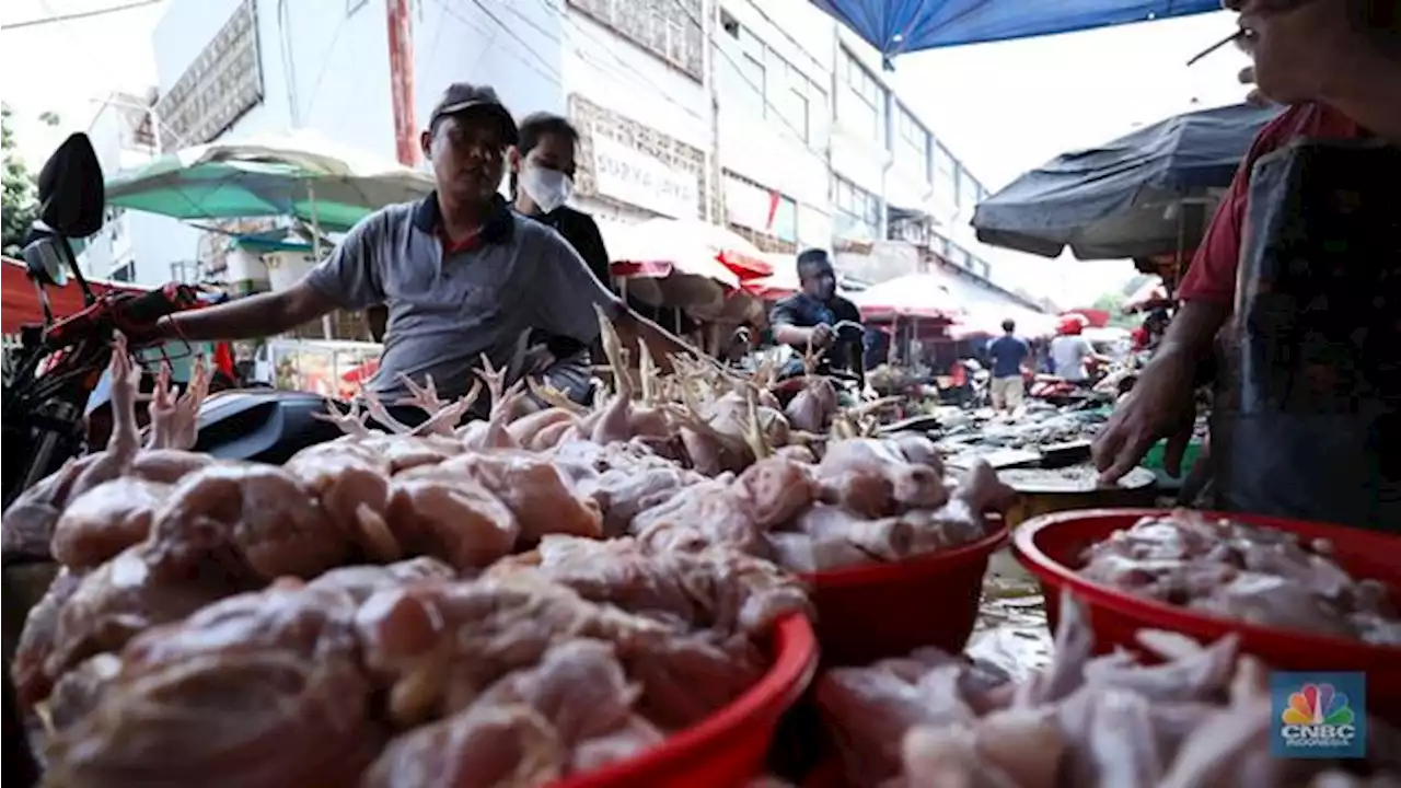 Fenomena Pasar, Harga Gula Sampai Kacang Tanah Beterbangan