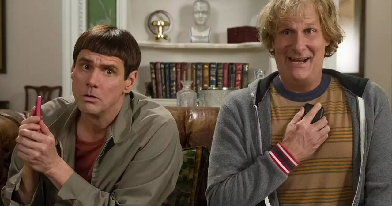 Dumb and Dumber To: Where to Watch & Stream Online