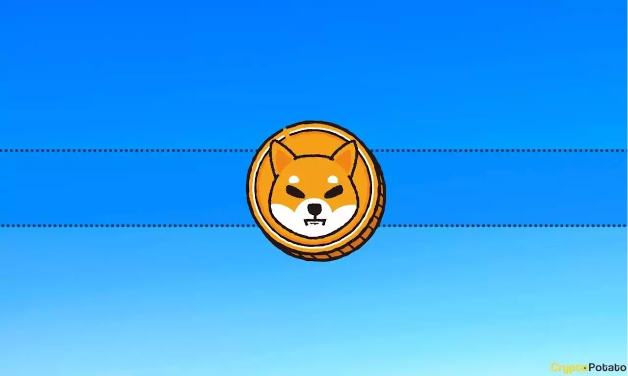 Shiba Inu Team Explains Why People Should Stop 'Fudding' BAD Token