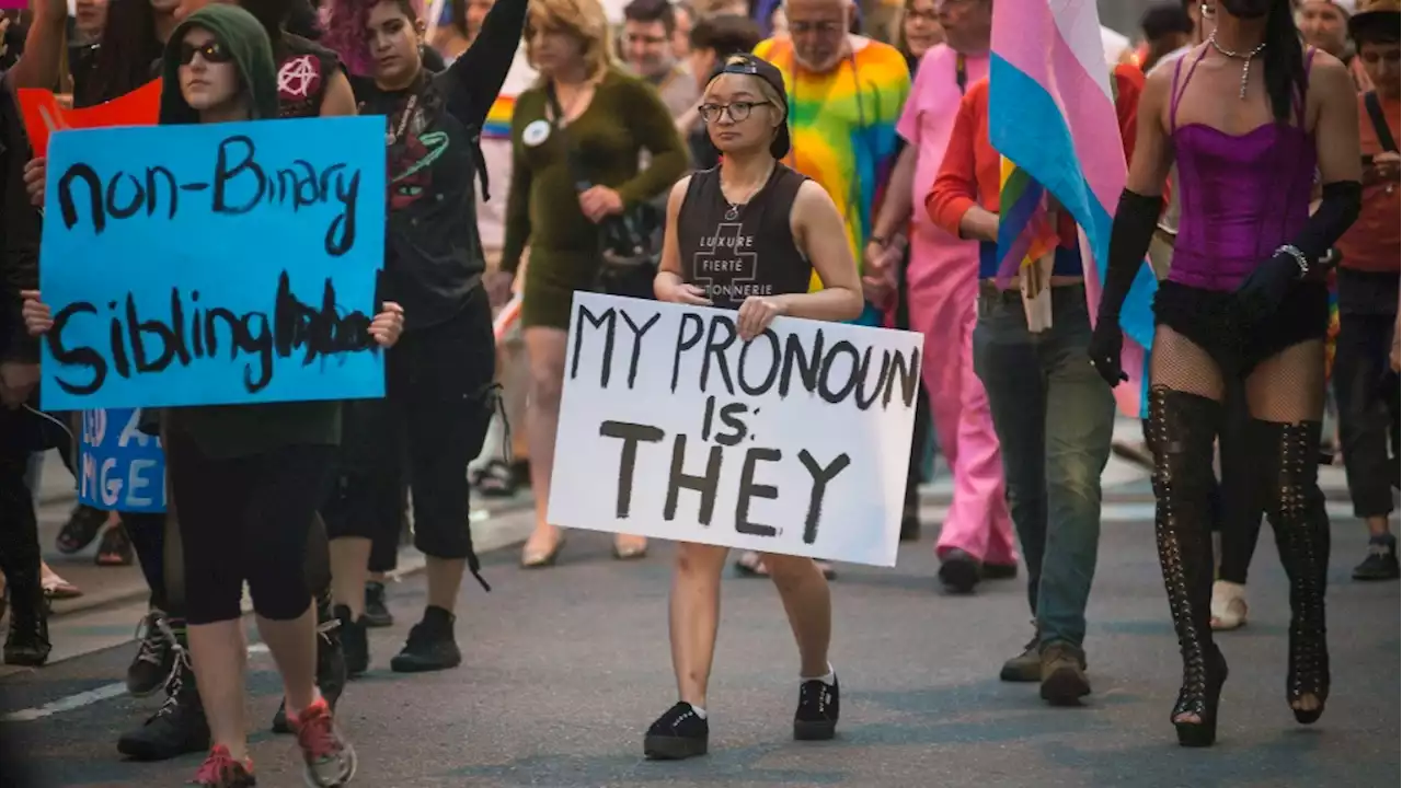 Hundreds expected to counter protest queer inclusive education demonstrations in Toronto