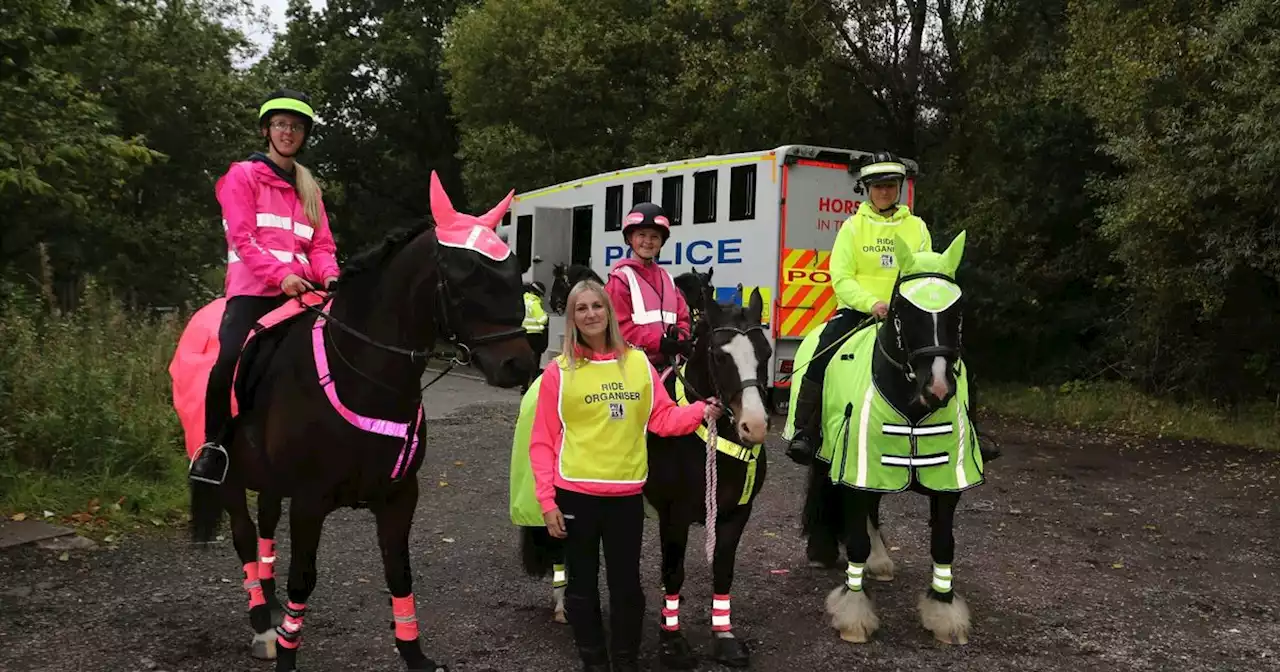 Message delivered to drivers in Lanarkshire to steer clear of horses on the road