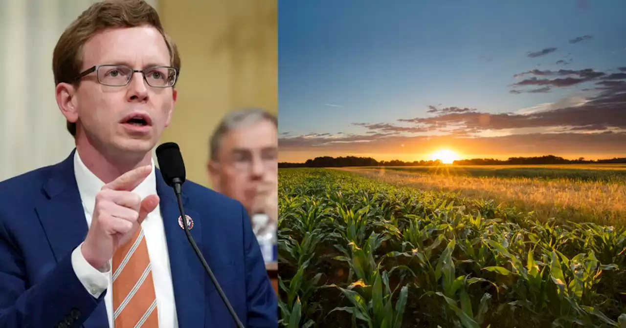 WATCH: Dusty Johnson on the farm bill: 'Farmers will fight you if you do anything to damage their land'