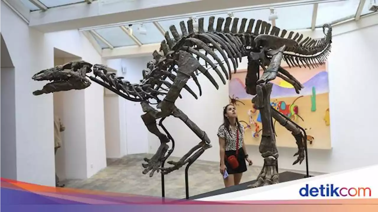 Kerangka Dinosaurus Berusia 150 Juta Tahun Akan Dilelang, Begini Wujudnya