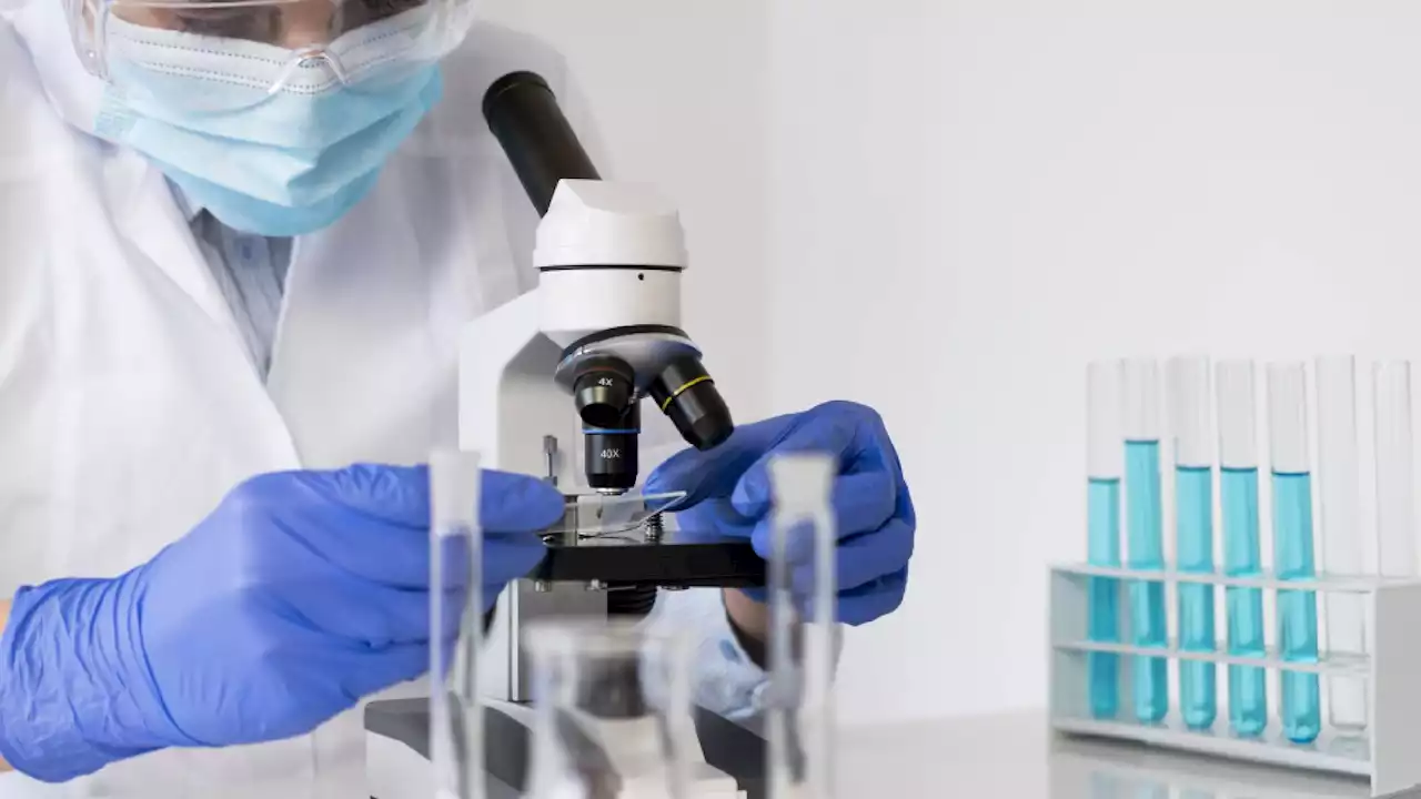 Crean IA para identificar mutaciones en proteínas que causarían enfermedades
