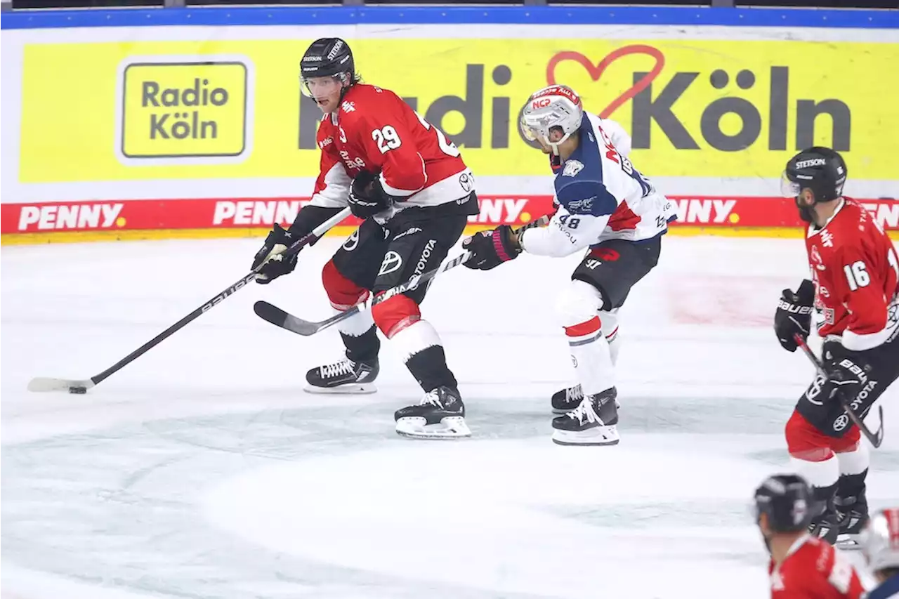 Der Lange vor erstem DEG-Derby: Kölns 2,01-Meter Hüne zieht NHL-Vergleich