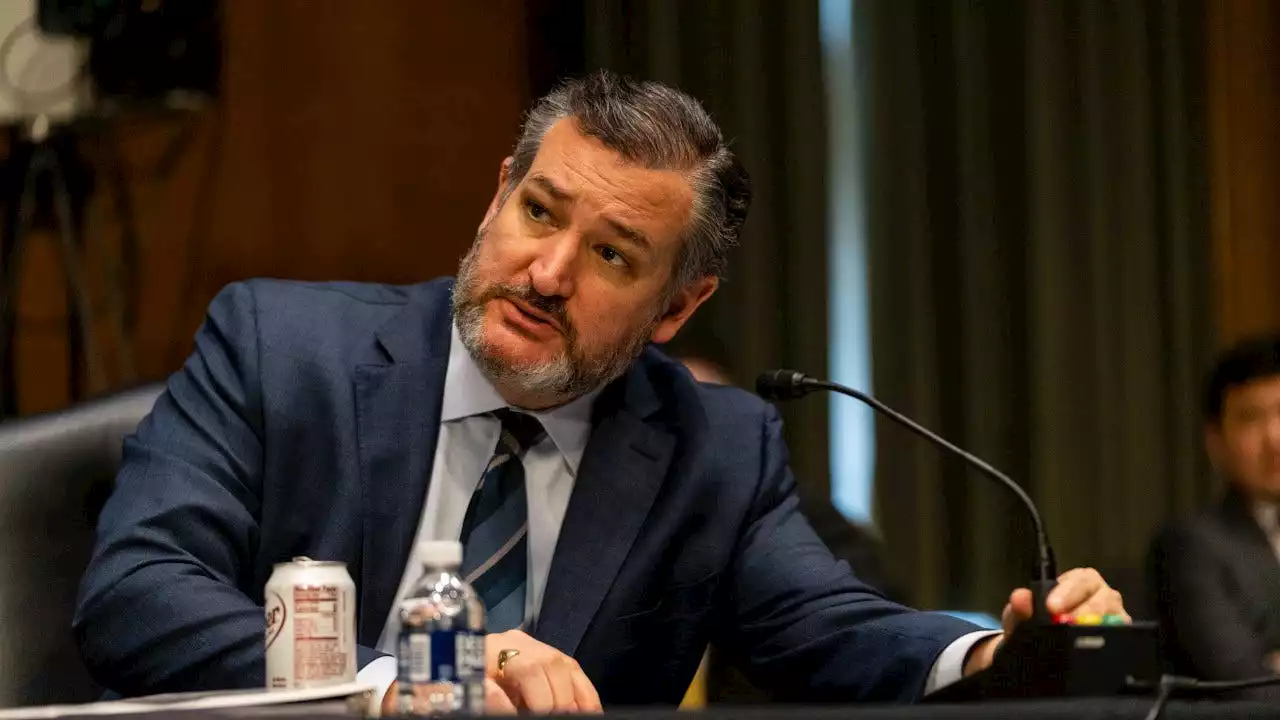 Cruz proposes life sentences for illegal aliens if Border Patrol agent is killed in pursuit