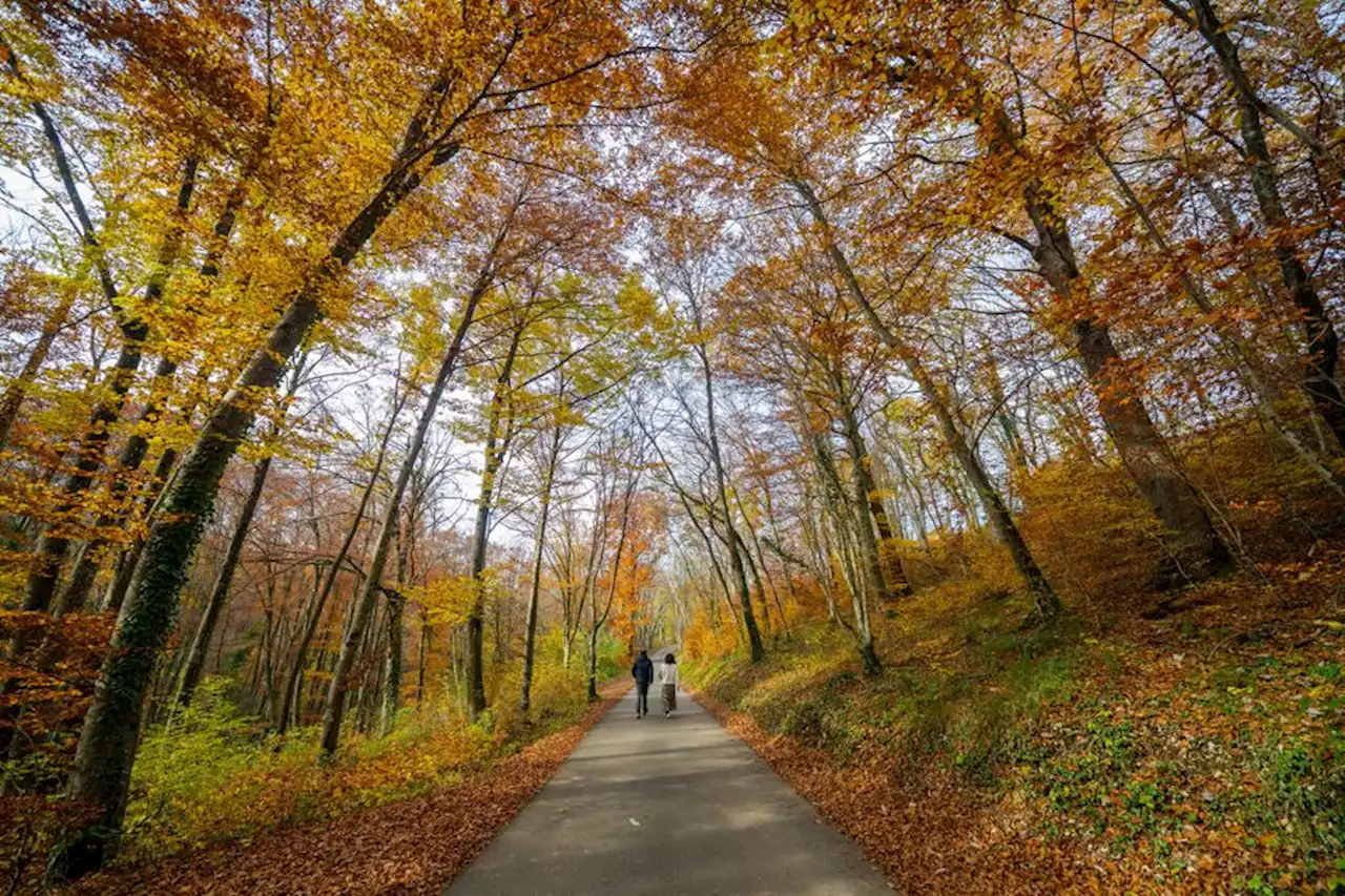 Soleil, douceur, orages : à quelle météo s'attendre cet automne en Normandie ?