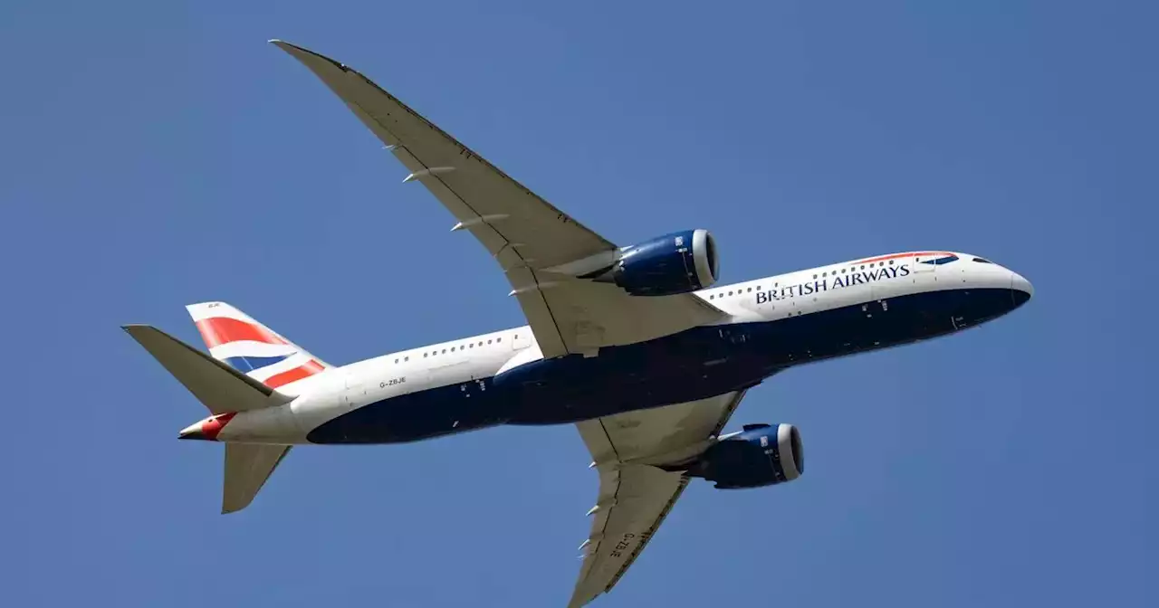 BA plane 'aborts landing' at Glasgow as small plane 'flies wrong way up runway'