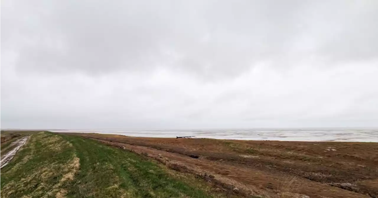 N.B. senator’s bill would require Ottawa to pay for Chignecto Isthmus project