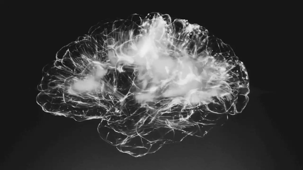 Neuralink opens up enrolment for first in-human study