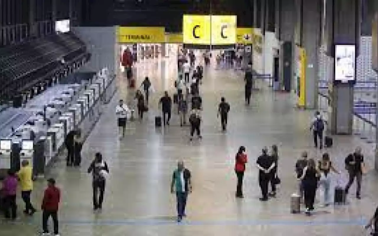 Cabeça de babuíno e bile de urso são apreendidas pelo Ibama no Aeroporto de Guarulhos | Brasil