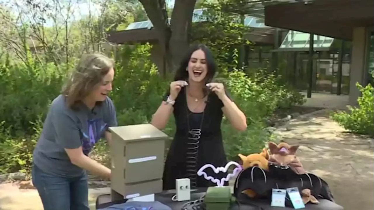Two fun bat-themed events happening at the Houston Arboretum this weekend