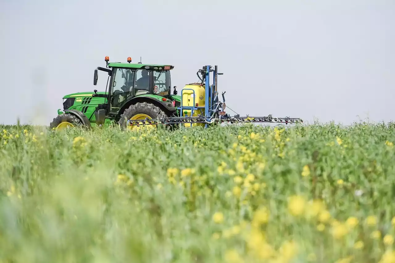 Glyphosate : la Commission européenne propose de renouveler son autorisation pour 10 ans