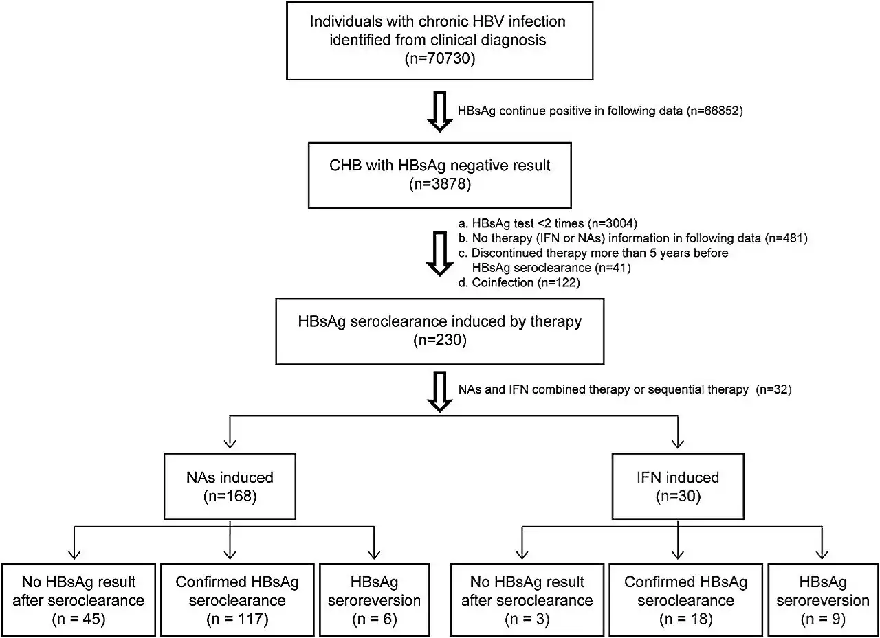 Exploring durability of hepatitis B surface antigen seroclearance using real-world data from electronic health records