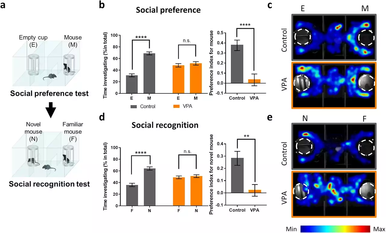 The hidden connection between adverse drug reactions and autism spectrum disorder