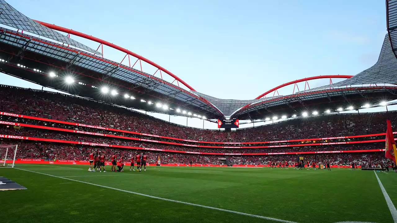 Hier sehen Sie den Salzburg-Hit gegen Benfica im TV