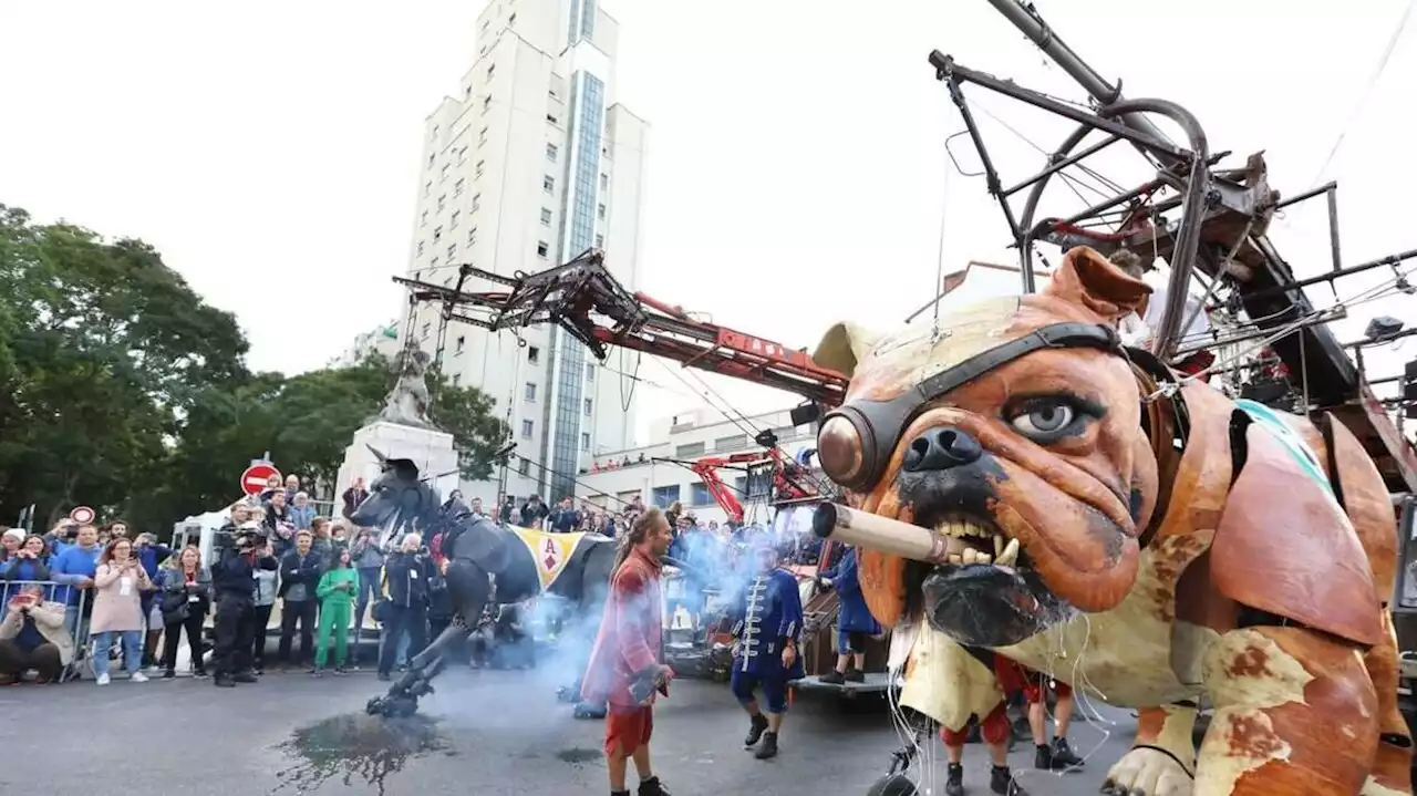 Royal de luxe. Trois jours de spectacle à Nantes et Saint-Herblain: découvrez les parcours en détail