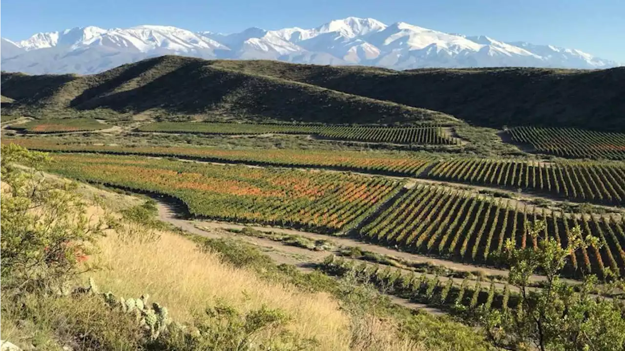 Alta-Yarí Gran Malbec 2021, un vino extremo de Gualtallary