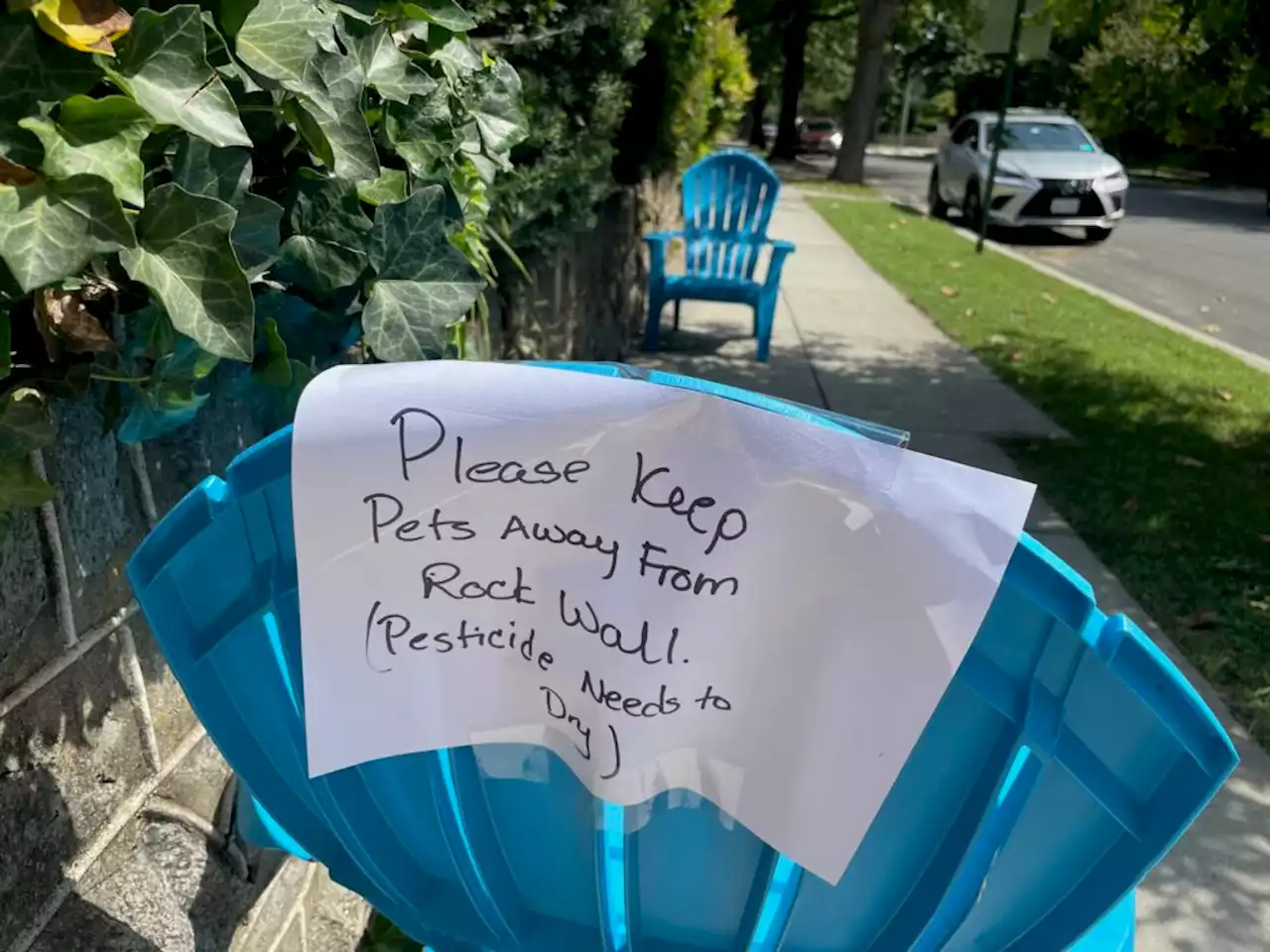 Notes from your Neighbors - PoPville