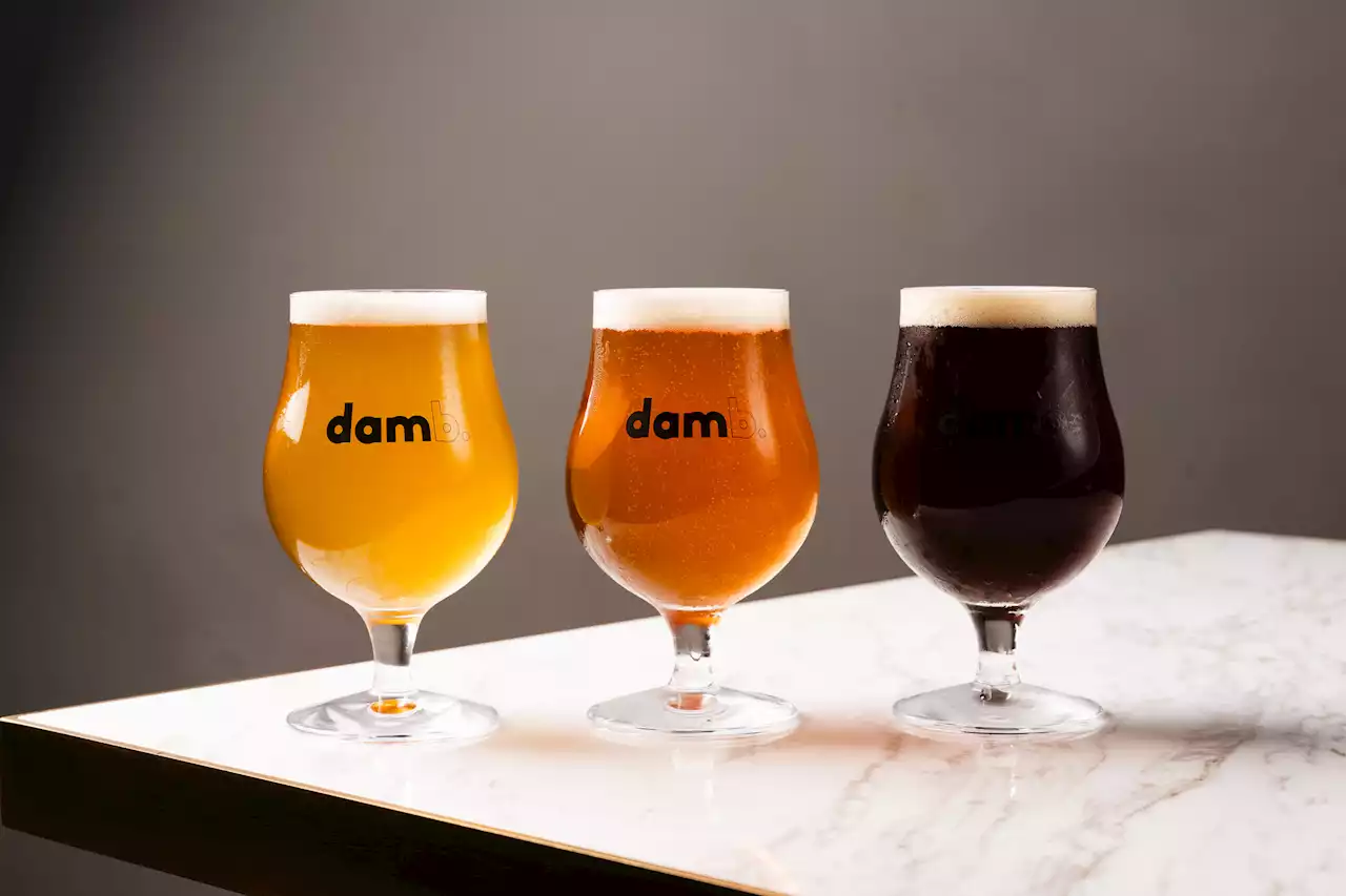 トランジットジェネラルオフィスの新業態、クラフトビール醸造所併設のブルワリーレストラン〈dam brewery restaurant〉が虎ノ門ヒルズ ステーションタワー 地下2階に誕...