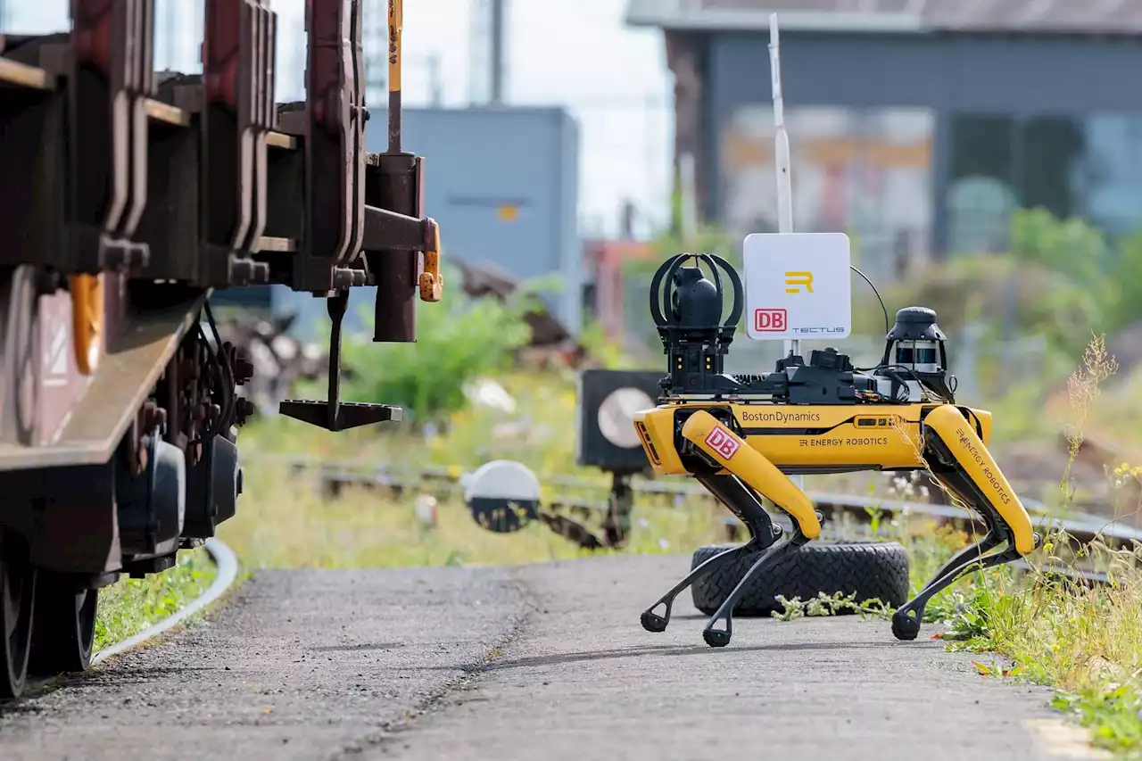 Roboterhund hilft bei Bahn-Inspektion