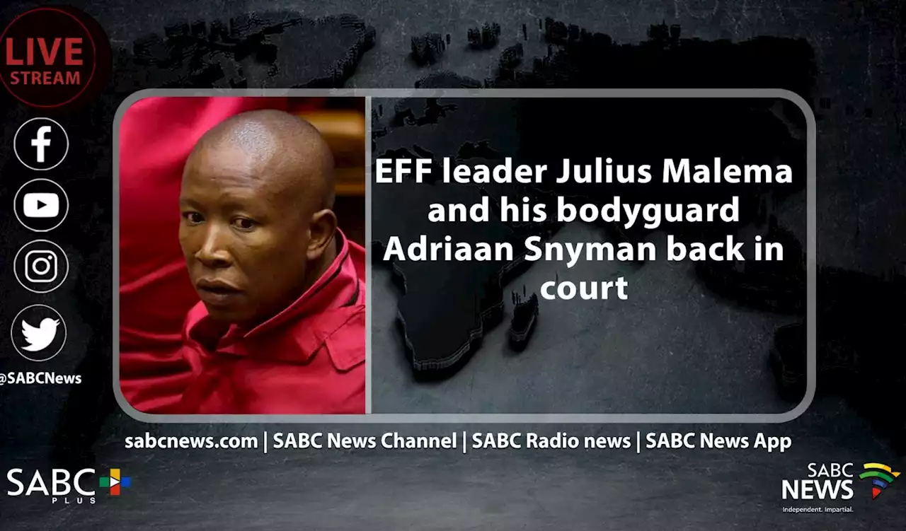 LIVE: EFF leader Julius Malema, bodyguard Adriaan Snyman back in court