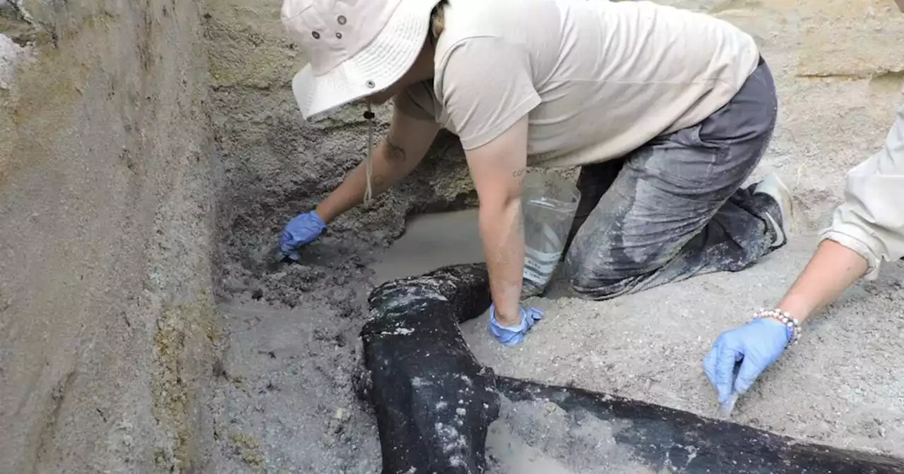 This simple log structure may be the oldest example of early humans building with wood