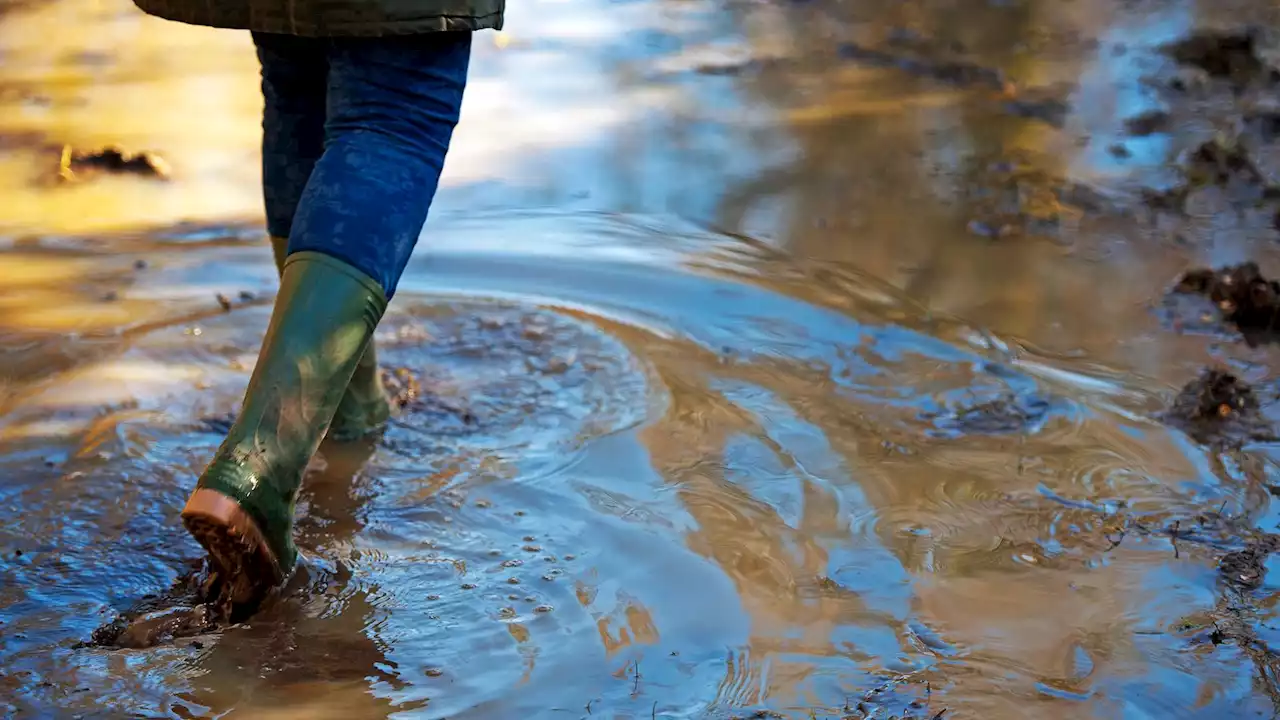 UK weather: New warning for heavy rainfall in parts of England amid flood alerts from tail end of Hurricane Lee