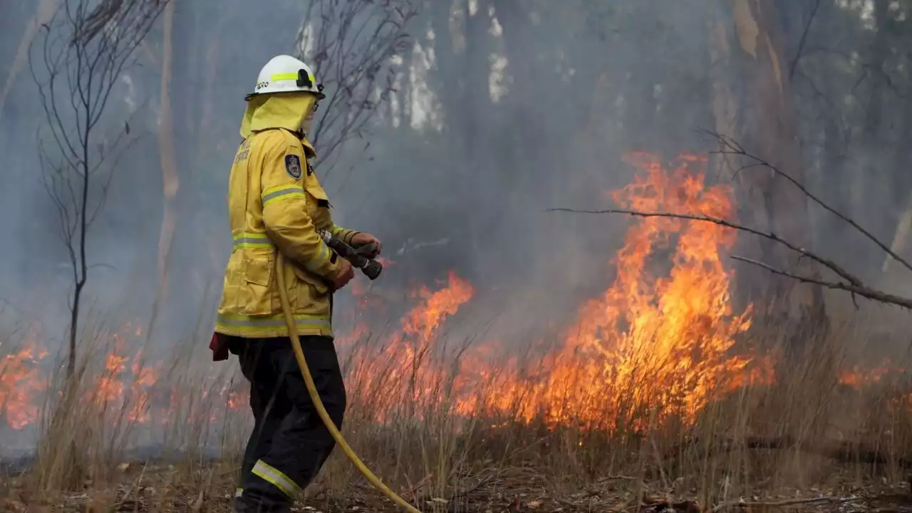 National parks in Sydney close as out-of-control bushfires increase in NSW