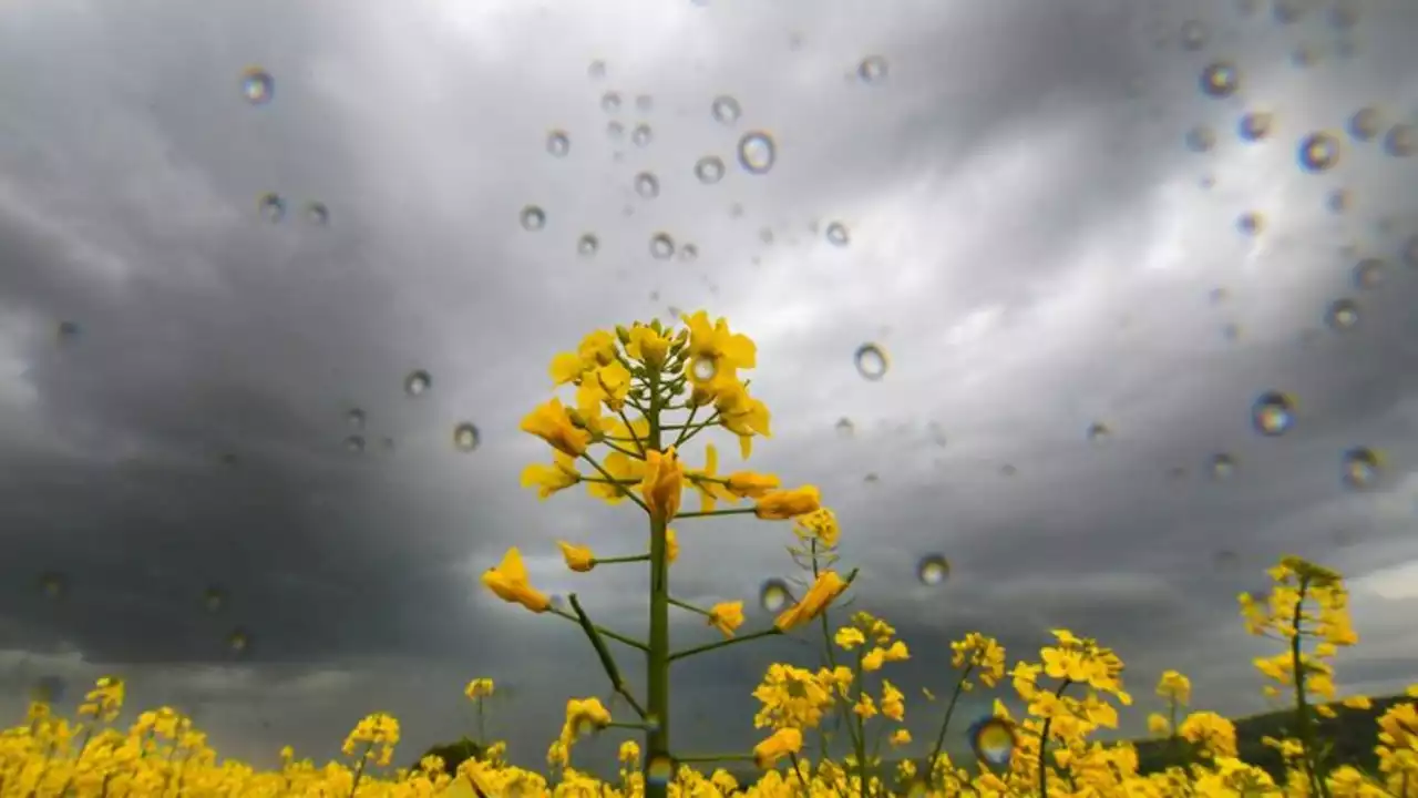 Wechselhaftes Wetter in Hessen