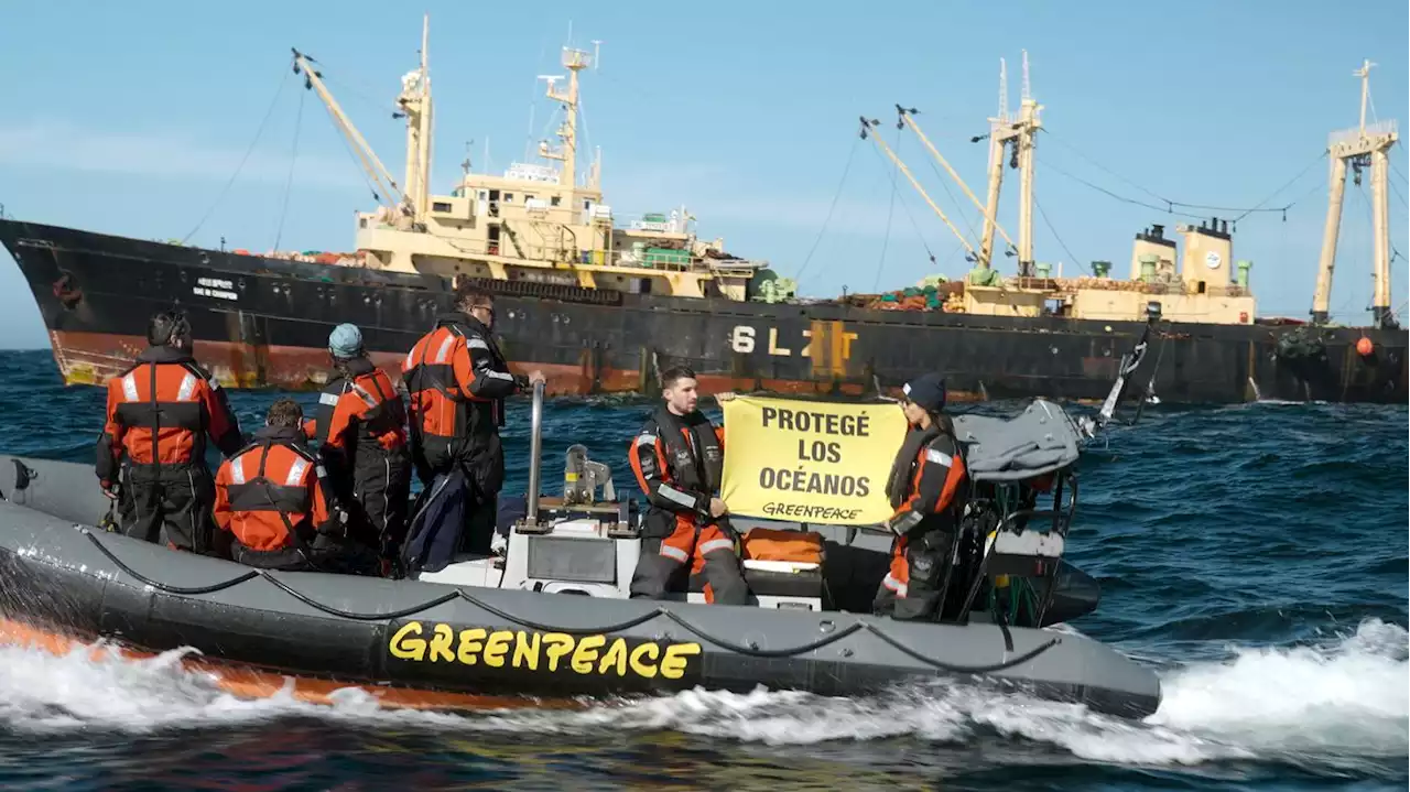 Sky-Doku über Greenpeace: Die Weltretter