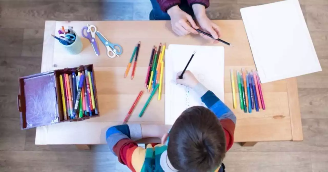 Além de mensalidade, família paga para psicóloga acompanhar criança com autismo em sala