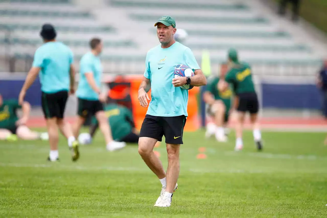 Irish connections mean nothing ahead of World Cup clash, says Boks' Nienaber