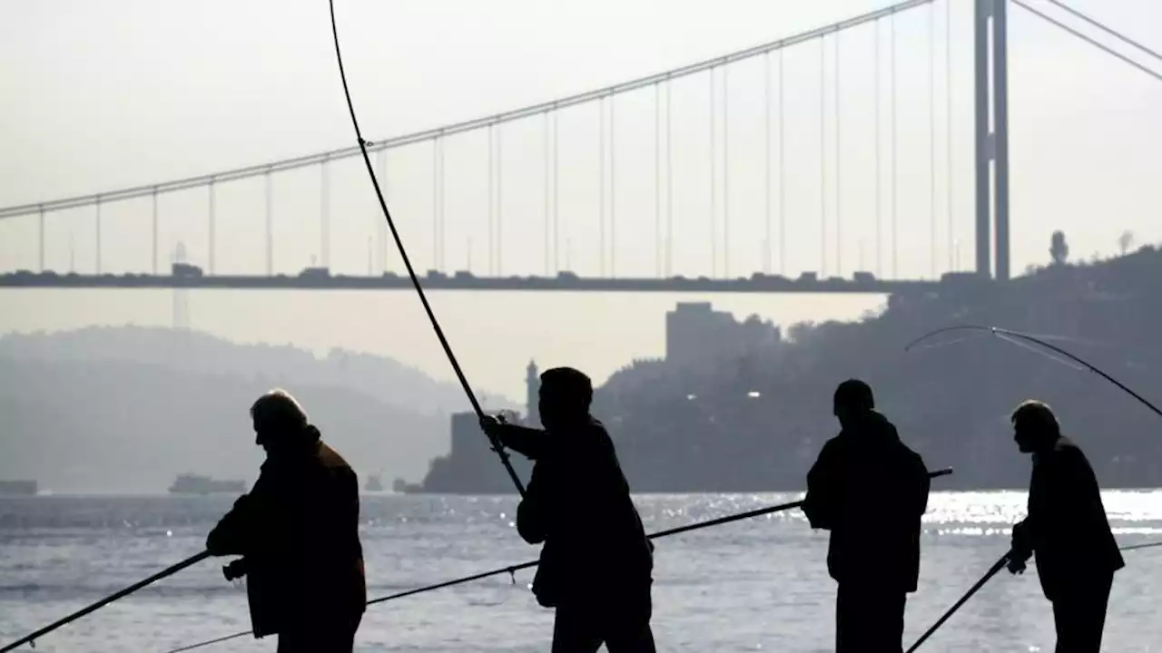 The Istanbul angler’s bucket list: Line fishing in Istanbul Strait