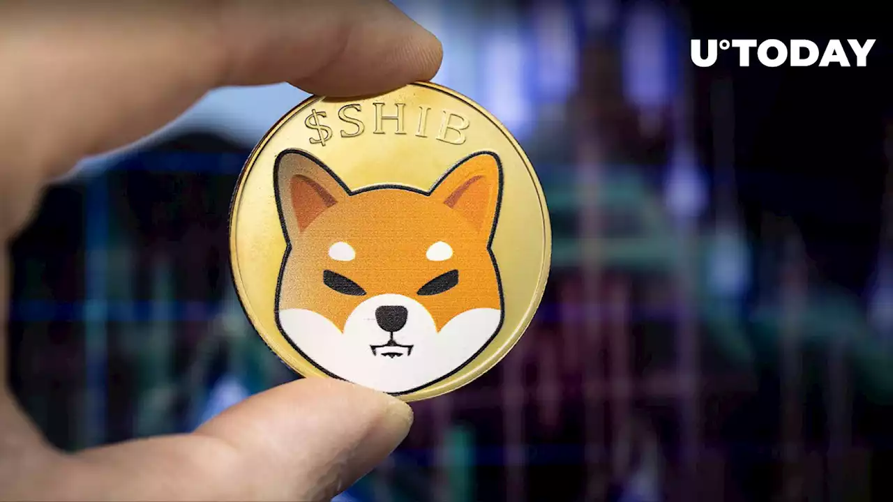 Shiba Inu: Here's What 756% Plunge in Weekly Netflows Means for SHIB